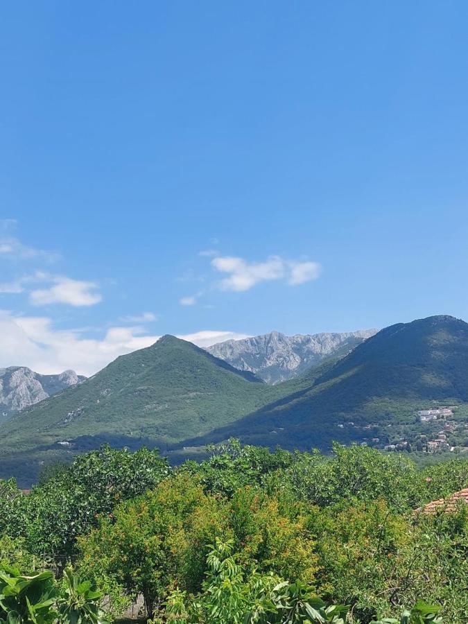 Danin Apartmani Bar Exteriér fotografie